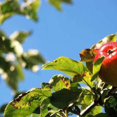 Cradog Farmhouse B&B Urlingford Buitenkant foto